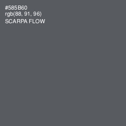 #585B60 - Scarpa Flow Color Image